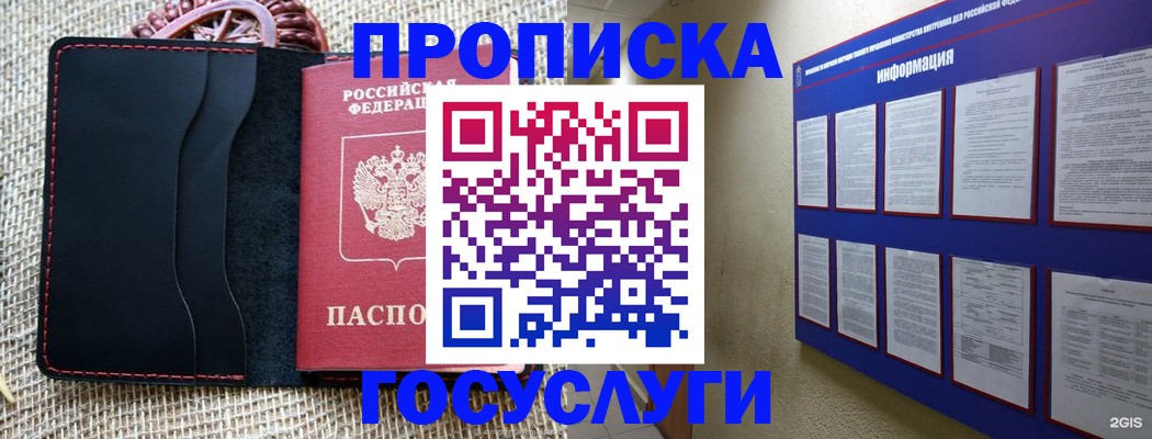прописка поиск в Новосибирской области